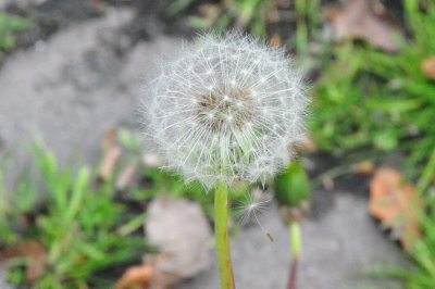 GKW_5358.r.JPG