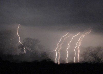 Lightening over the Pantanal