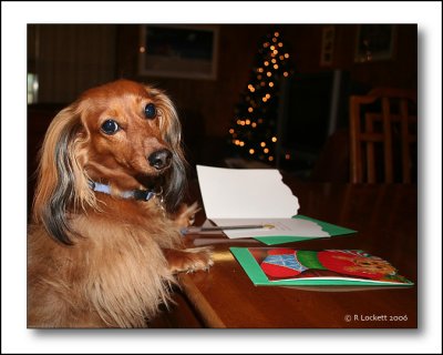 helping with holiday cards