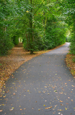 DSC_5959.jpg