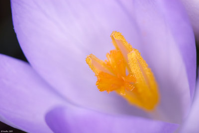 g6/57/624457/3/75254525.iiMZ6p4B.jpg