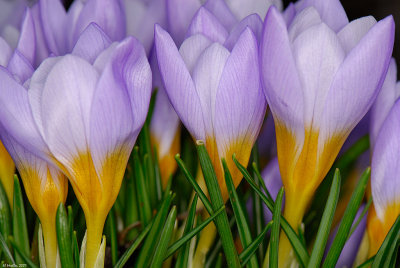 g6/57/624457/3/75254531.g1XWrgpI.jpg