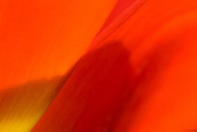 g6/57/624457/3/79191238.a2fRLyG8.jpg