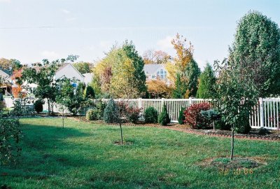 October in my backyard