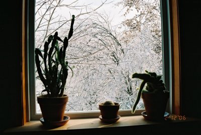 Bathroom window