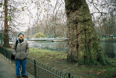 Vlad and a tree
