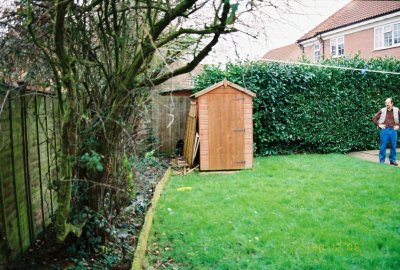 Vasily's backyard