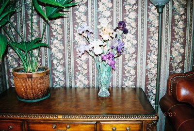 Irises and table