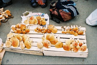 Mushrooms