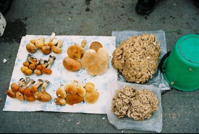 Mushrooms