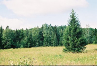 Elka