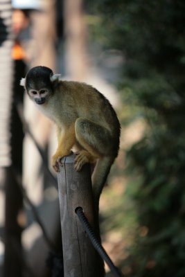 IMG_8006.JPG