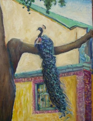 Peacock in Grounds for Sculpture  oil  14 x 11