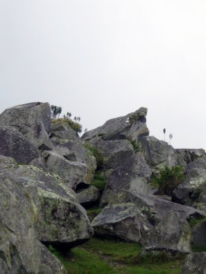 g6/57/665057/3/90198222.z8PUx9j5.jpg