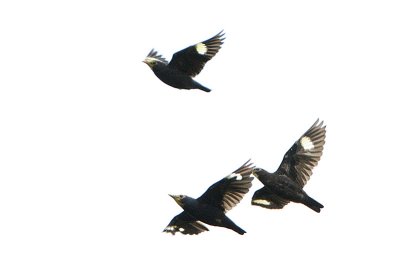 g6/57/687157/3/82244712.xJnVsEQK.jpg