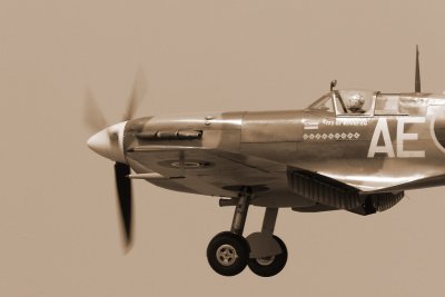 lf5.jpg