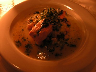 Salmon
