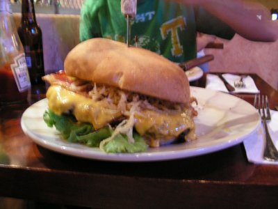 Dam Big Burger
