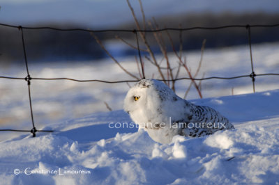 DSC_0680.jpg