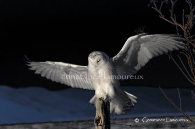 DSC_0454.jpg