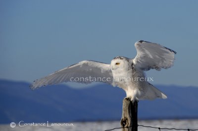 DSC_0455.jpg