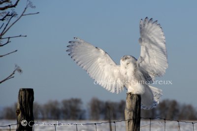 DSC_0470.jpg