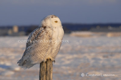 DSC_0467.jpg