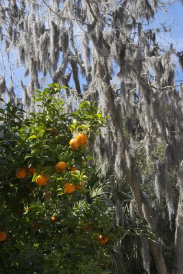 St Simon's Island, GA