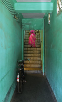 Pink ghost - Chennai.