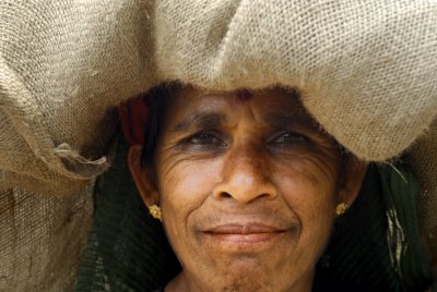 Tea picker - Chambra peak, Wayanad