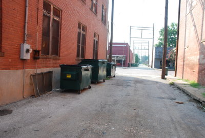Downtown Trash Carts - 2007