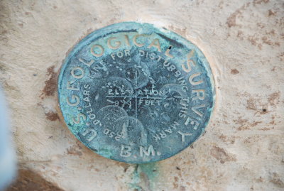 Surveyor's Medallion