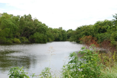 The Slough (slew)