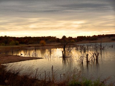 Longmire Lake at sunset.jpg