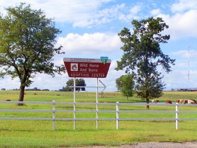 Wild Horse and Burro Adoption Center1.jpg