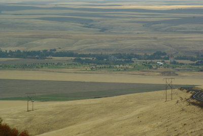  Emigrant Hill 1007 -view