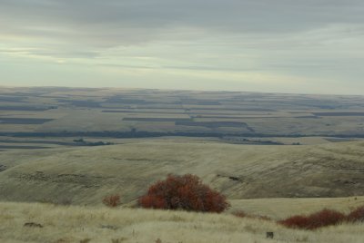 Emigrant Hill 1007 -view
