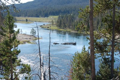 yellowstone 211.JPG