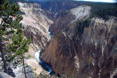 yellowstone 240.JPG