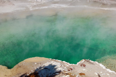 yellowstone 353.JPG
