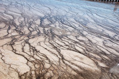 yellowstone 446.JPG