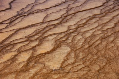 yellowstone 465.JPG