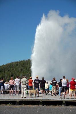 yellowstone 490.JPG