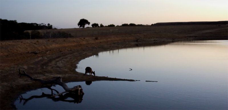 Twilight at Beckys Lagoon