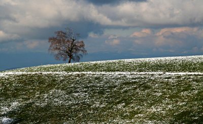 First Snow #1 *