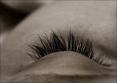 5th: Eyelashes by jstrong