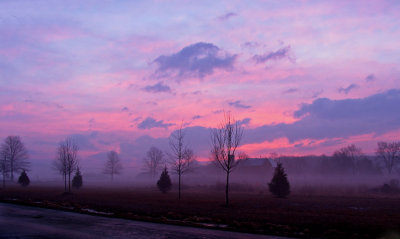 Foggy early morning  *