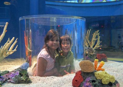 Aquarium kids *