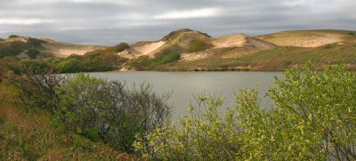 Distant Dunes *