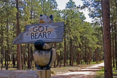 Got Bear?